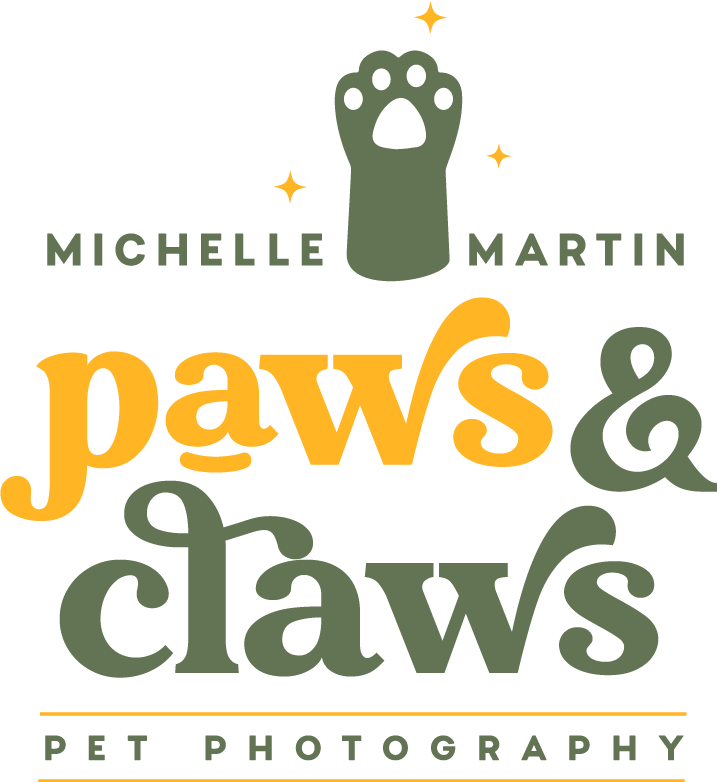 Paws + Claws Pet Photography